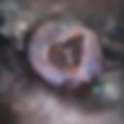 Cross-section of a geode showcasing internal crystal formations