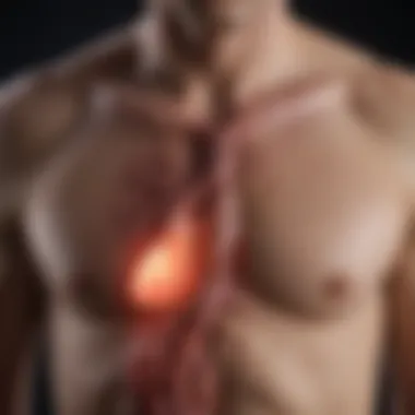 Guidelines for Abdominal Aortic Aneurysm Screening Visual representation of AAA screening guidelines