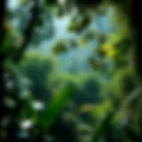 Lush Amazon rainforest showcasing biodiversity