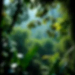 Lush Amazon rainforest showcasing biodiversity