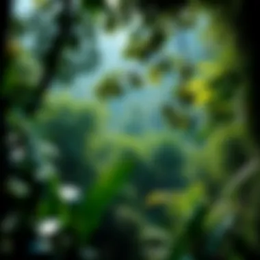 Biodiversity of the Amazon Rainforest Lush Amazon rainforest showcasing biodiversity