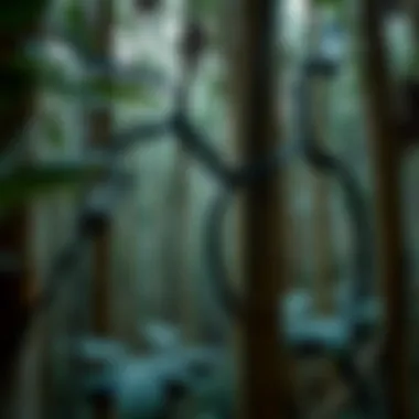 Technological Innovations in Conservation Innovative technology in conservation efforts