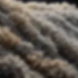 Close-up view of asbestos fibers under microscope