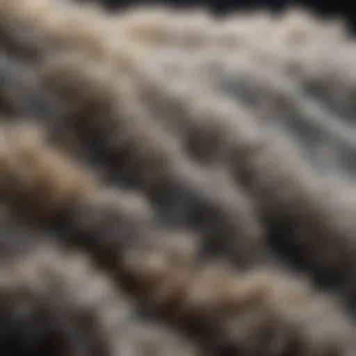 Close-up view of asbestos fibers under microscope