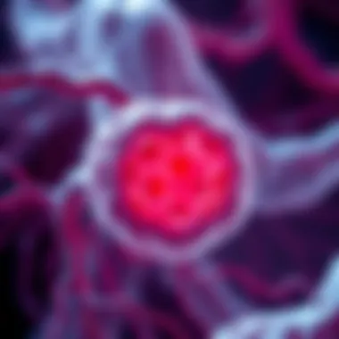 Diagram showing biological tissue interaction with red light