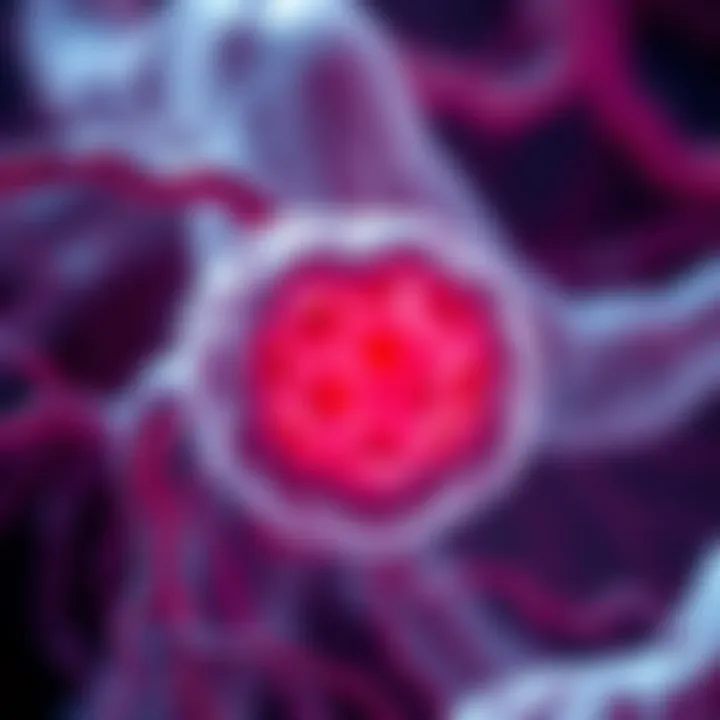 Diagram showing biological tissue interaction with red light