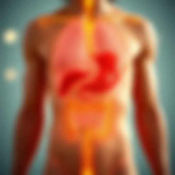 Understanding Bloating Physiology Diagram showing bloating physiology and digestive system