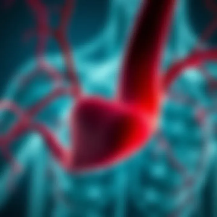 Visualization of blood flow improvement post hyperbaric treatment