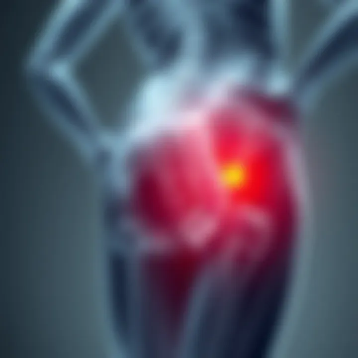 Visual representation of diagnostic strategies for buttock pain