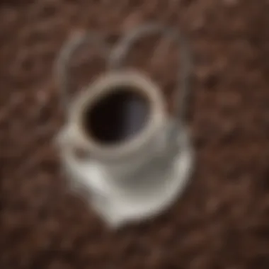 A close-up of coffee beans with a stethoscope, symbolizing heart health in relation to coffee consumption.