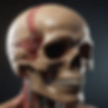 Flowchart depicting diagnostic approaches for skull base tumors