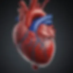 Illustration depicting a healthy heart with clear blood flow