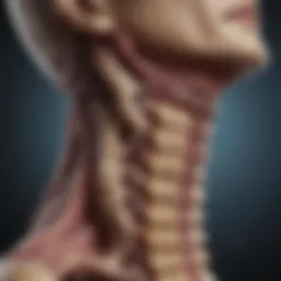 Detailed illustration of the cervical spine highlighting cancerous lesions