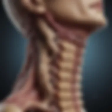 Detailed illustration of the cervical spine highlighting cancerous lesions