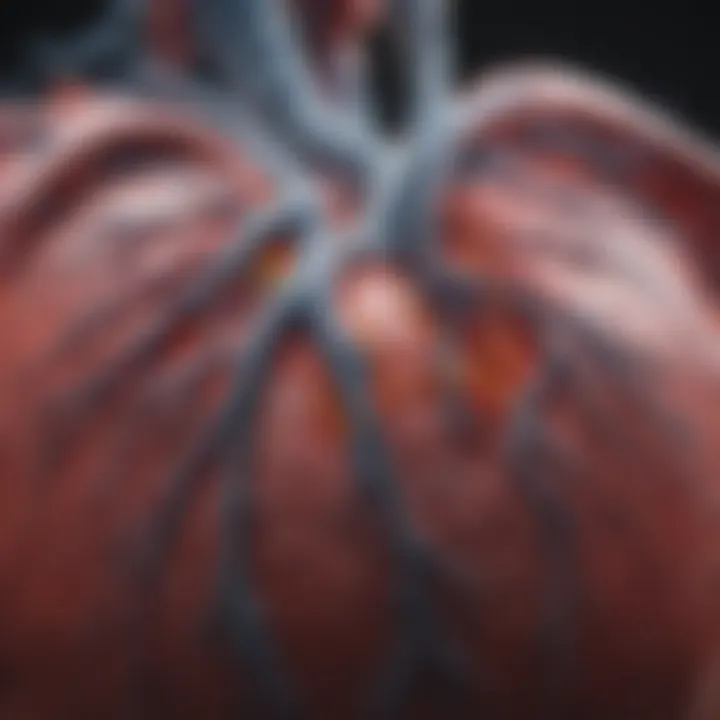 Graphical representation highlighting the benefits of using CT angiography in cardiac assessment.