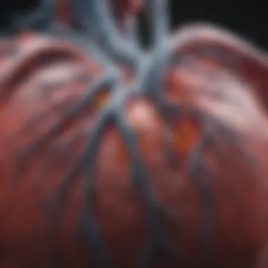 Benefits of CT Angiography in Cardiac Assessment Graphical representation highlighting the benefits of using CT angiography in cardiac assessment.