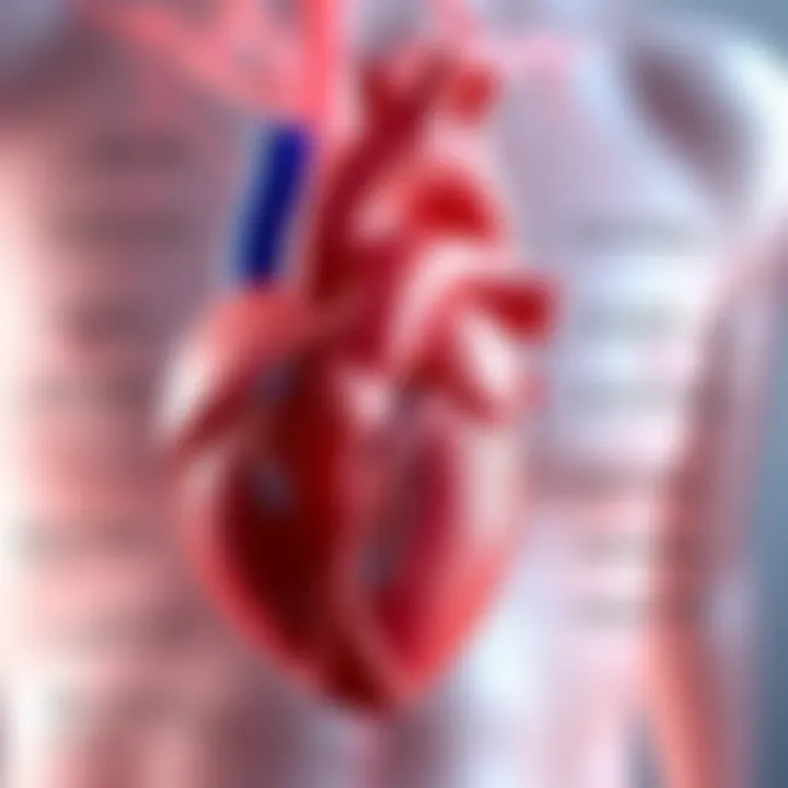 Clinical Evaluation Techniques for MVP Diagram of clinical evaluation techniques