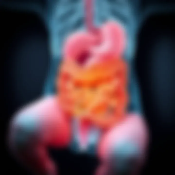 Illustration of the digestive system in newborns highlighting affected areas
