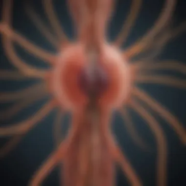 Understanding How Parasites Transmit Diagram illustrating parasite transmission routes