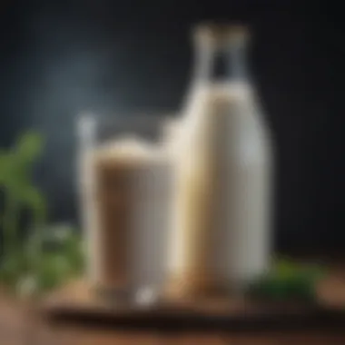 Sustainable Sources of Plant-Based Milk Sustainable sources of plant-based milk alternatives