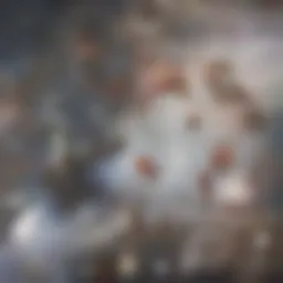 Natural supplement derived from tropical fruit