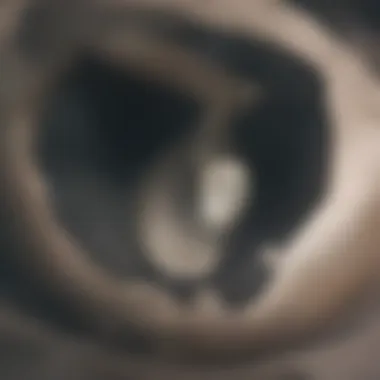 Close-up of fermentation process in a wine barrel