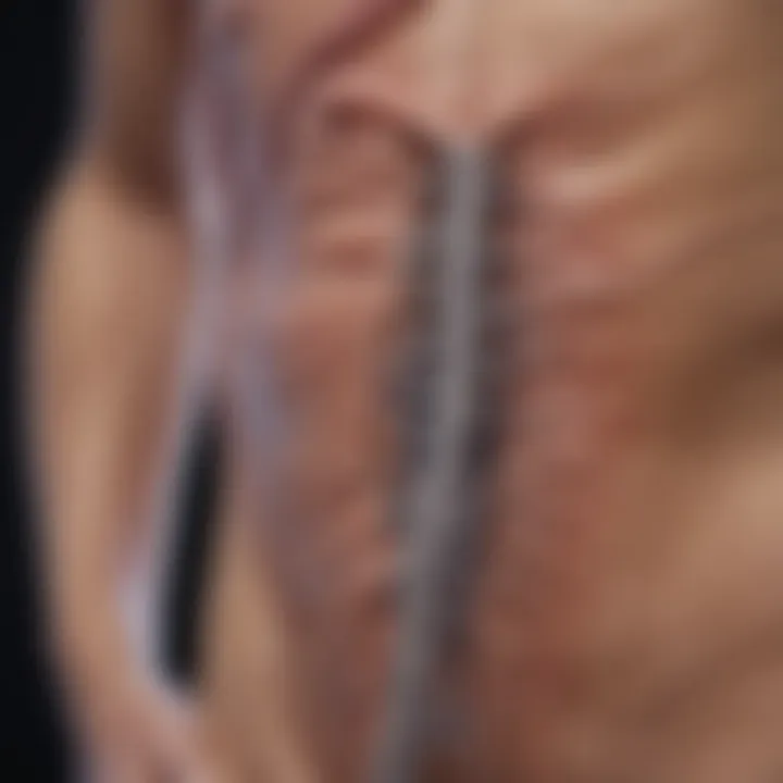 Graphic representation of the mechanisms linking colon cancer and night sweats