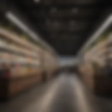 An array of eco-friendly lighting solutions displayed in a retail setting
