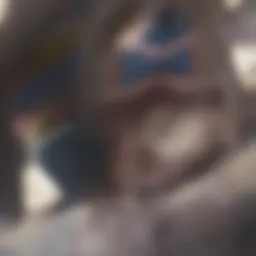 Diagram illustrating the various types of cardiovascular diseases.