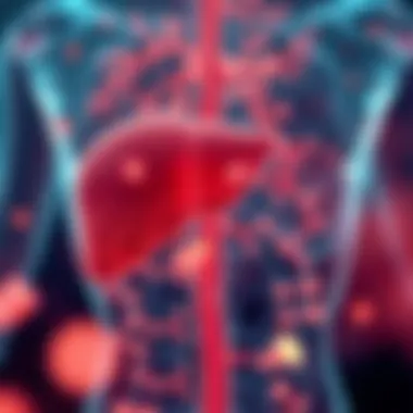 Visual representation of diagnostic pathways for liver enzyme elevation.