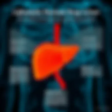 Infographic on lifestyle factors affecting liver health.