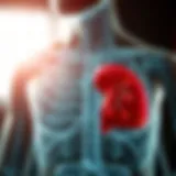 Liver Functions and Enzyme Activity Diagram illustrating liver functions and enzyme activity.