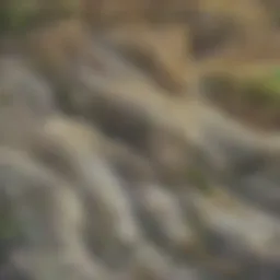 Aerial view of diverse crop fields showcasing genetic variety and sustainable practices