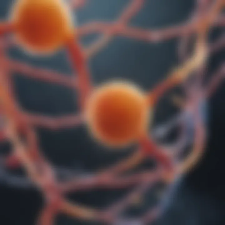 Biochemical pathways involved in multivitamin metabolism