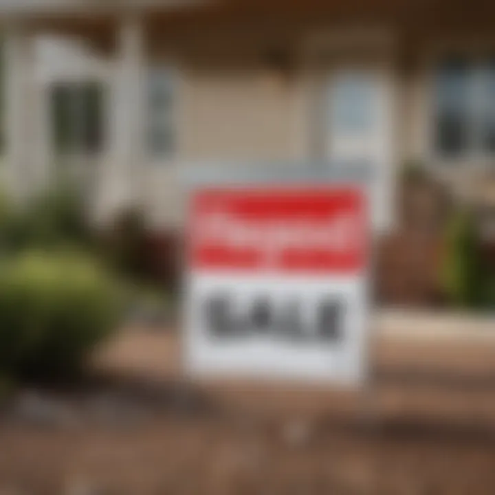 A close-up of a 'For Sale' sign in front of a repo home