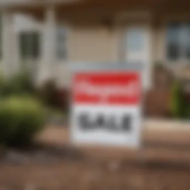 For Sale Sign at a Repo Property A close-up of a 'For Sale' sign in front of a repo home