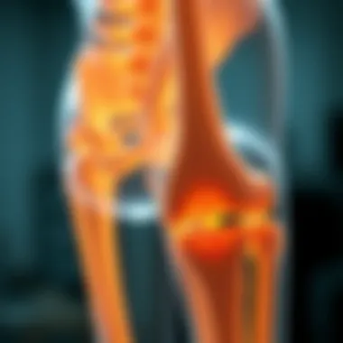 Research on Bone Density and Strength Research findings on bone density and strength