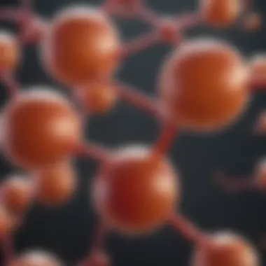 Graph representing metabolic processes influenced by TUDCA