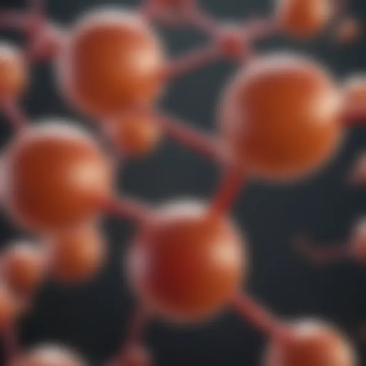 Graph representing metabolic processes influenced by TUDCA