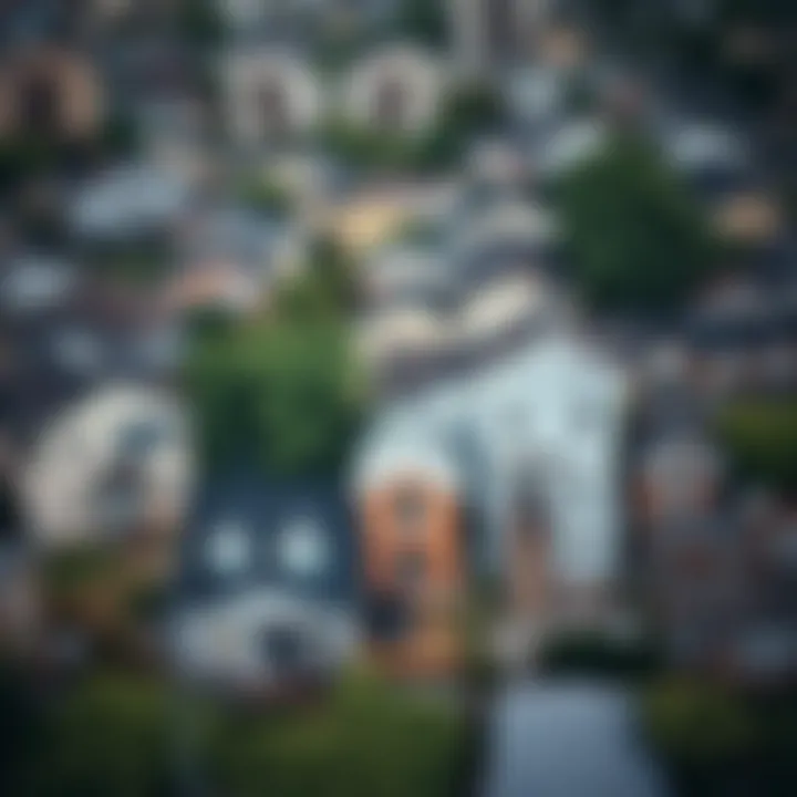 Urban Housing Diversity Aerial view of a vibrant urban neighborhood showcasing various housing styles.