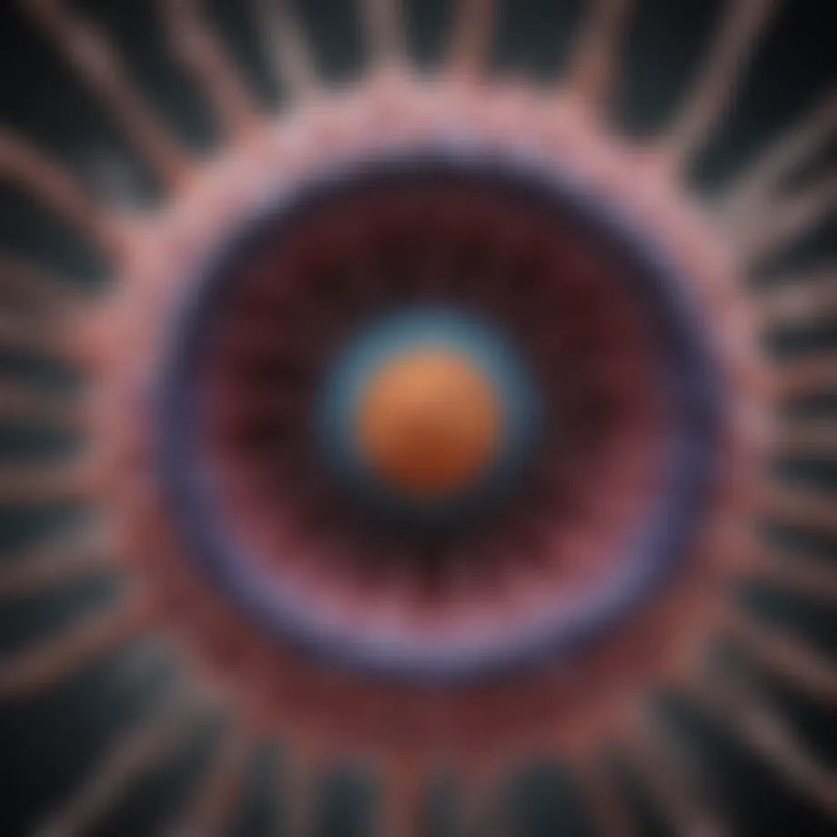 Visualization of Epstein-Barr virus structure