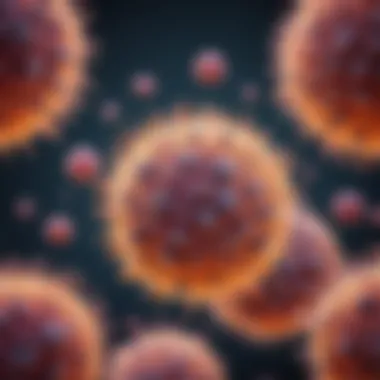 Mast Cells: The Core of Mastocytosis Close-up view of mast cells under a microscope