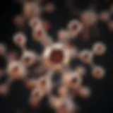 Folic acid molecular structure