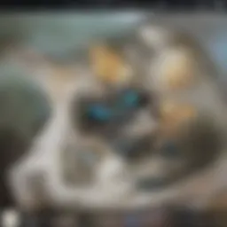 A close-up of a vibrant butterfly perched on a flower.