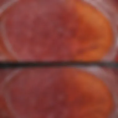 Traditional vs Modern Tissue Staining Techniques Comparison of traditional and modern techniques in tissue staining