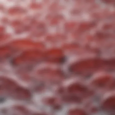 Principles of Staining Methods in Histology Diagram illustrating the principles of staining methods in histological analysis