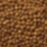 Close-up of fenugreek seeds showcasing their texture and color