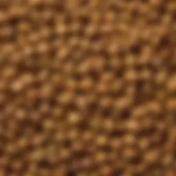 Close-up of fenugreek seeds showcasing their texture and color