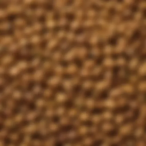Close-up of fenugreek seeds showcasing their texture and color