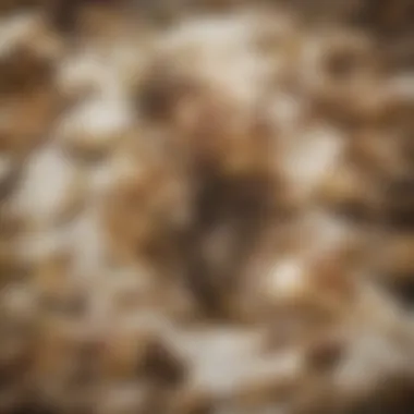 Nutritional Aspects of Fritos Nutritional information of different Fritos flavors